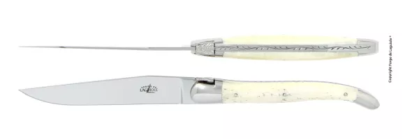 Tafelmesser, Finish glanzend mit Griff aus Knochen, 2er Set