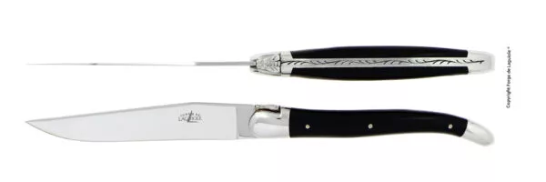 Couteaux de table brillants en Acrylique noir, coffret de 2