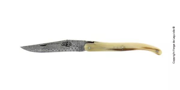 Couteau pliant ciselé main brillant plein manche en corne lame damas inox