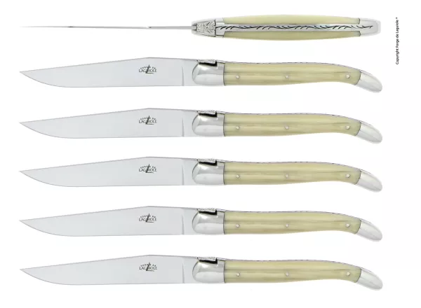 Tafelmesser, Finish glanzend mit Griff aus Acryl, 6er Set