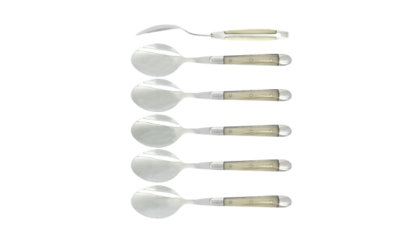 Cuillères à soupe, brillantes en acrylique opalescent, coffret de 6