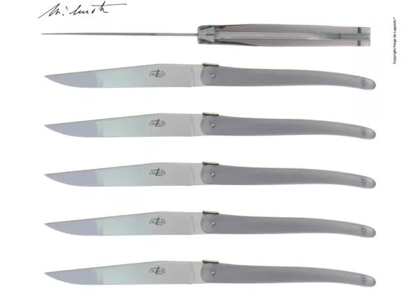 Couteaux de table Jean-Michel Wilmotte en dacryl® Gris, coffret de 6