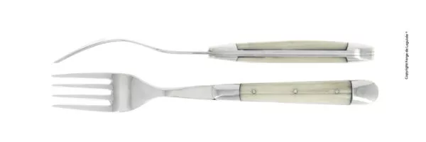 Essgabeln, finish glänzend mit Griff aus acrylic, Set mit 2
